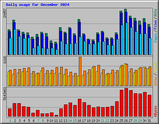 Daily usage for December 2024