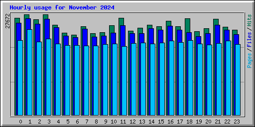 Hourly usage for November 2024