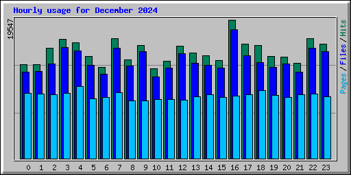 Hourly usage for December 2024