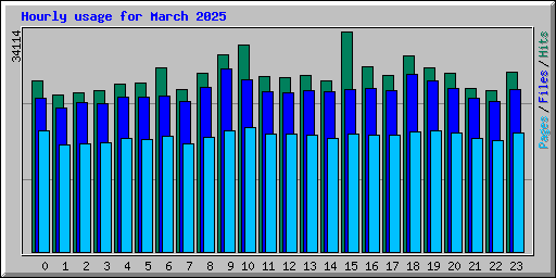 Hourly usage for March 2025
