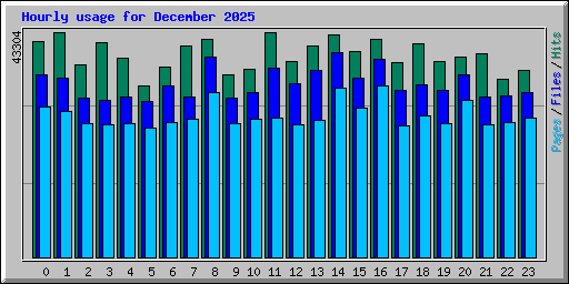 Hourly usage for December 2025