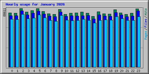 Hourly usage for January 2026