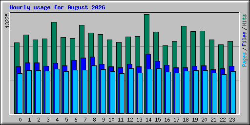 Hourly usage for August 2026